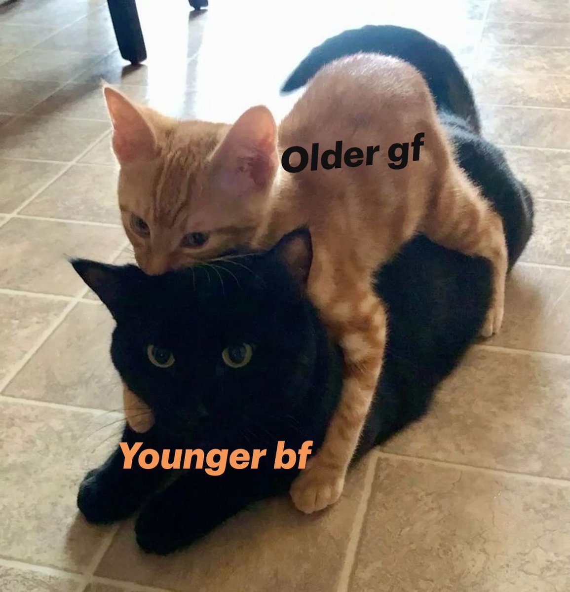 Meme 3